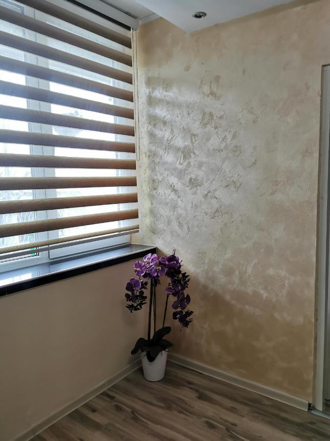 Apartment Ruza Kladovo Luaran gambar