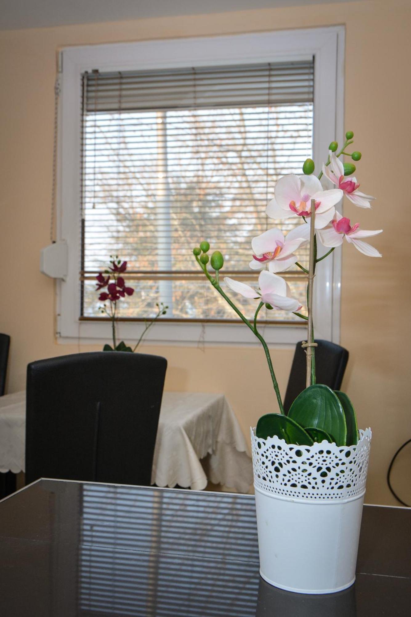 Apartment Ruza Kladovo Luaran gambar